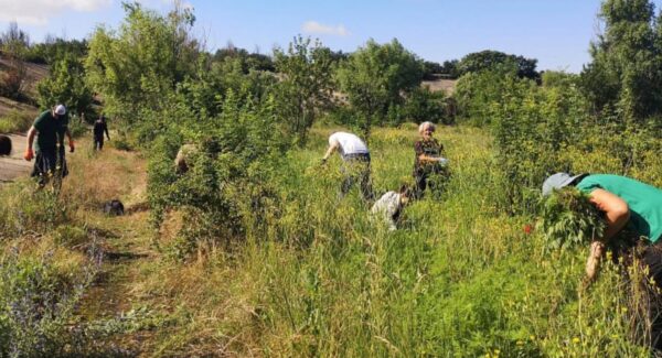 În excursie cu clasa, la Delta Văcărești. Administrația parcului natural organizează vizite speciale în „Săptămâna verde” | FOTO: APNB