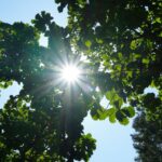Cod galben de caniculă în București, sâmbătă. ANM anunță maxime de până la 36 de grade Celsius