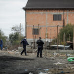 Diana Buzoianu stare de alertă București și Ilfov arderile din Sintești