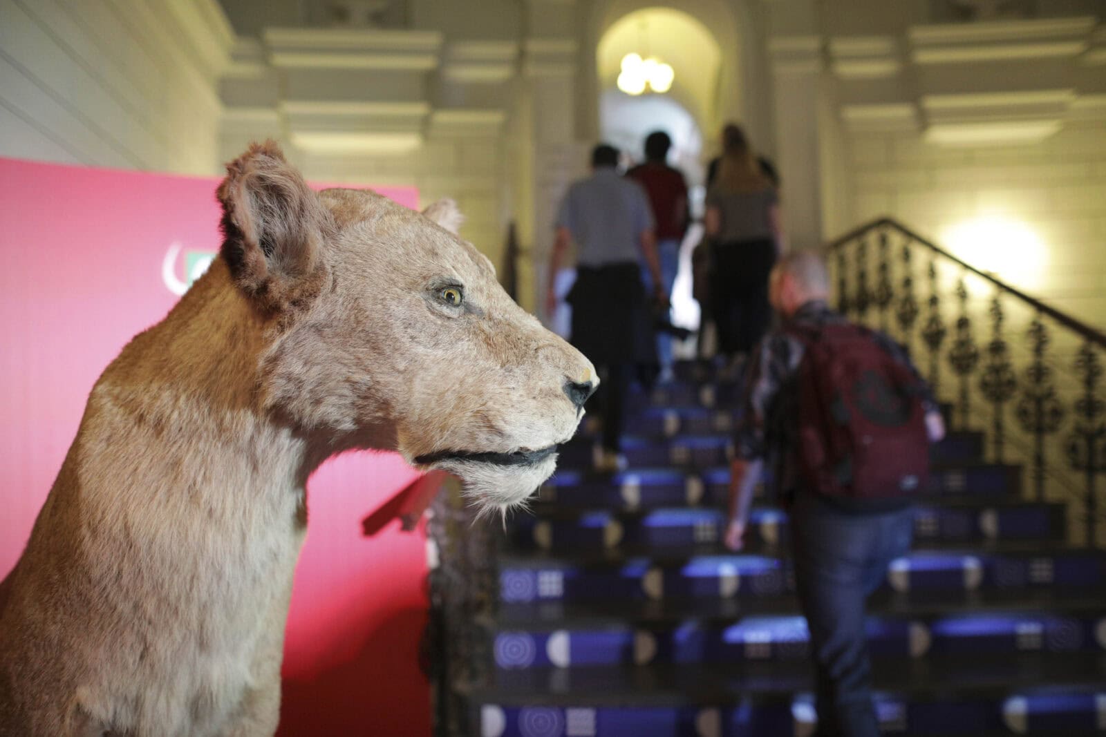 Muzeul Antipa sărbătorește 40 de ani de la descoperirea Peșterii Movile printr-o expoziție. „Lumea fără soare” va putea fi vizitată de joi | FOTO: Arhiva