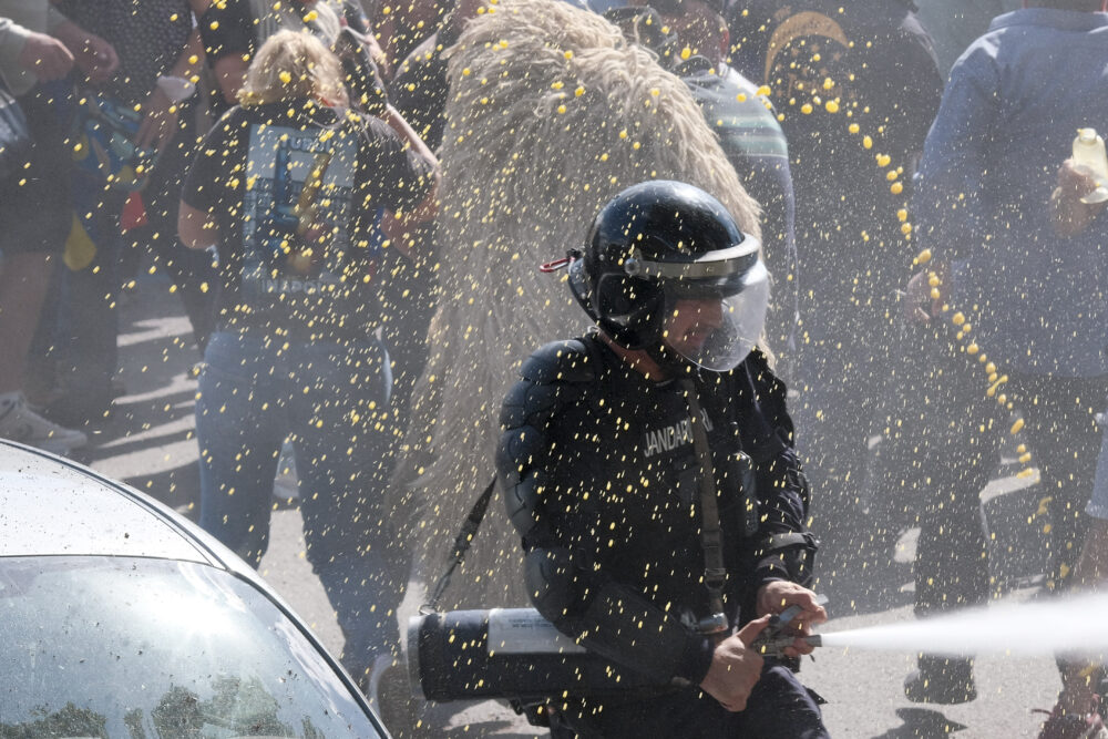 victoriei, protestul, bucurești, pietre, pavele, pavaje