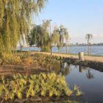 Regulamentul pentru promenada și Insula Lacul Morii, aprobat de Consiliul Local Sector 6. Ce prevede documentul