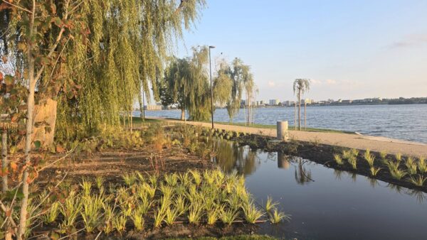 Regulamentul pentru promenada și Insula Lacul Morii, aprobat de Consiliul Local Sector 6. Ce prevede documentul