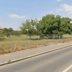 Proiect plantări arbori copaci Sectorul 4