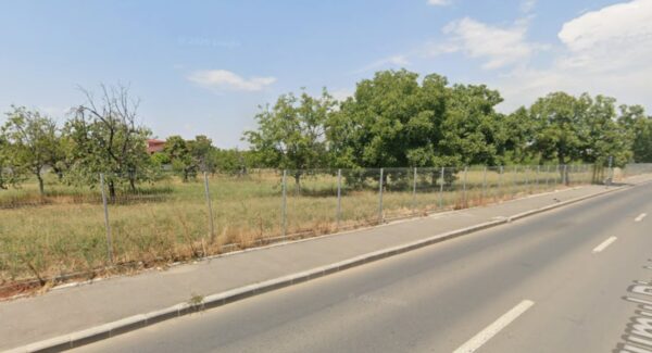 Proiect plantări arbori copaci Sectorul 4