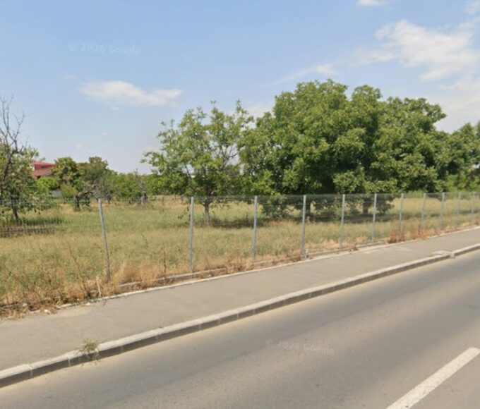 Proiect plantări arbori copaci Sectorul 4