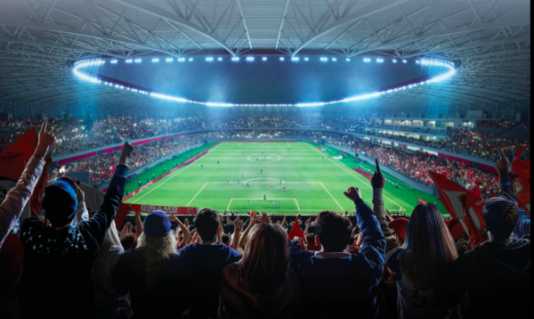 Lucrările la noul Complex Sportiv Dinamo se reiau de la 1 octombrie. De ce s-a oprit construcția. FOTO: CNI