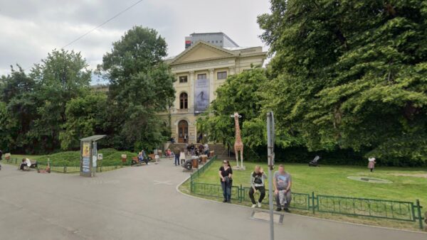 „Triunghiul Muzeelor” transformă Șoseaua Kiseleff în promenadă culturală. Antipa, Muzeul Geologic și Muzeul Țăranului Român pregătesc ateliere și activități pentru cei mici