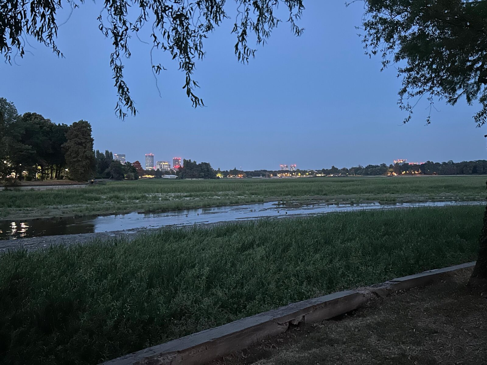 FOTO | Cum arată lacul Herăstrău golit. A început să crească vegetație