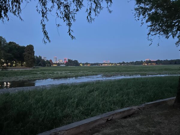 FOTO | Cum arată lacul Herăstrău golit. A început să crească vegetație