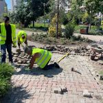Aproape 200.000 de euro de la Administrația Străzilor către firma din dosarul generalului Zisu. Firma va amenaja spațiile verzi de pe două bulevarde