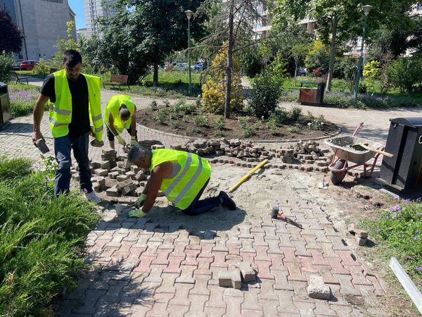 Aproape 200.000 de euro de la Administrația Străzilor către firma din dosarul generalului Zisu. Firma va amenaja spațiile verzi de pe două bulevarde