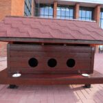 Căsuțe pentru pisici în Sectorul 3. Asociațiile de proprietari le pot obține gratuit. FOTO: PS3