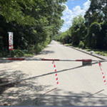 drumul auto prin Pădurea Băneasa