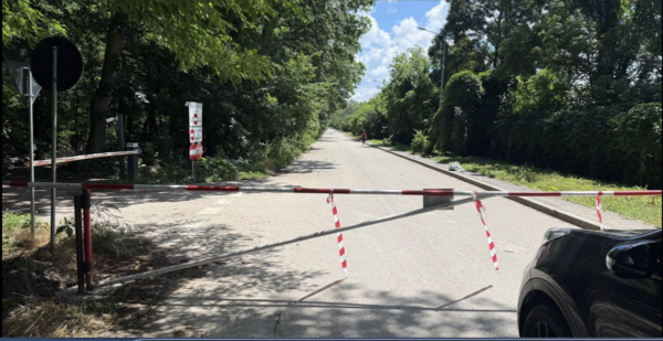 drumul auto prin Pădurea Băneasa