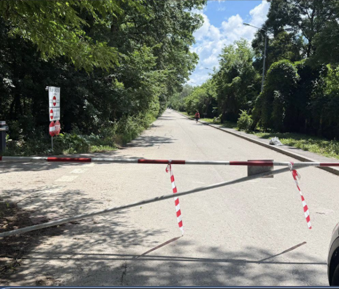 drumul auto prin Pădurea Băneasa