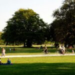 Un parc de peste 4.000 mp ar putea apărea lângă Teatrul Excelsior, pentru locuitorii din Cartierul Bucureștii Noi. Proiectul de hotărâre, pe masa Consilului Local