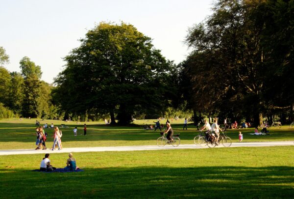 Un parc de peste 4.000 mp ar putea apărea lângă Teatrul Excelsior, pentru locuitorii din Cartierul Bucureștii Noi. Proiectul de hotărâre, pe masa Consilului Local