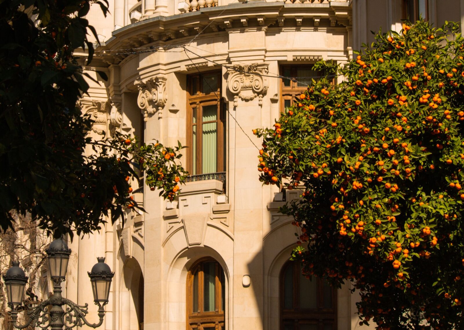 școală în Spania
