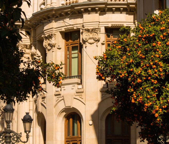 școală în Spania