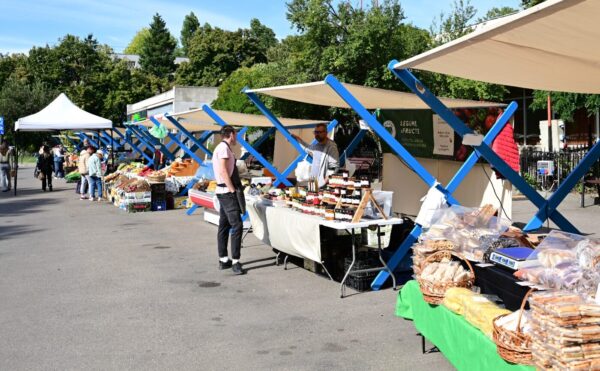 Primăria Sectorului 1 vrea să construiască un complex agroalimentar modern la Piața Pajura. Proiectul așteaptă votul consilierilor locali | FOTO: PS1 (ilustrativ)