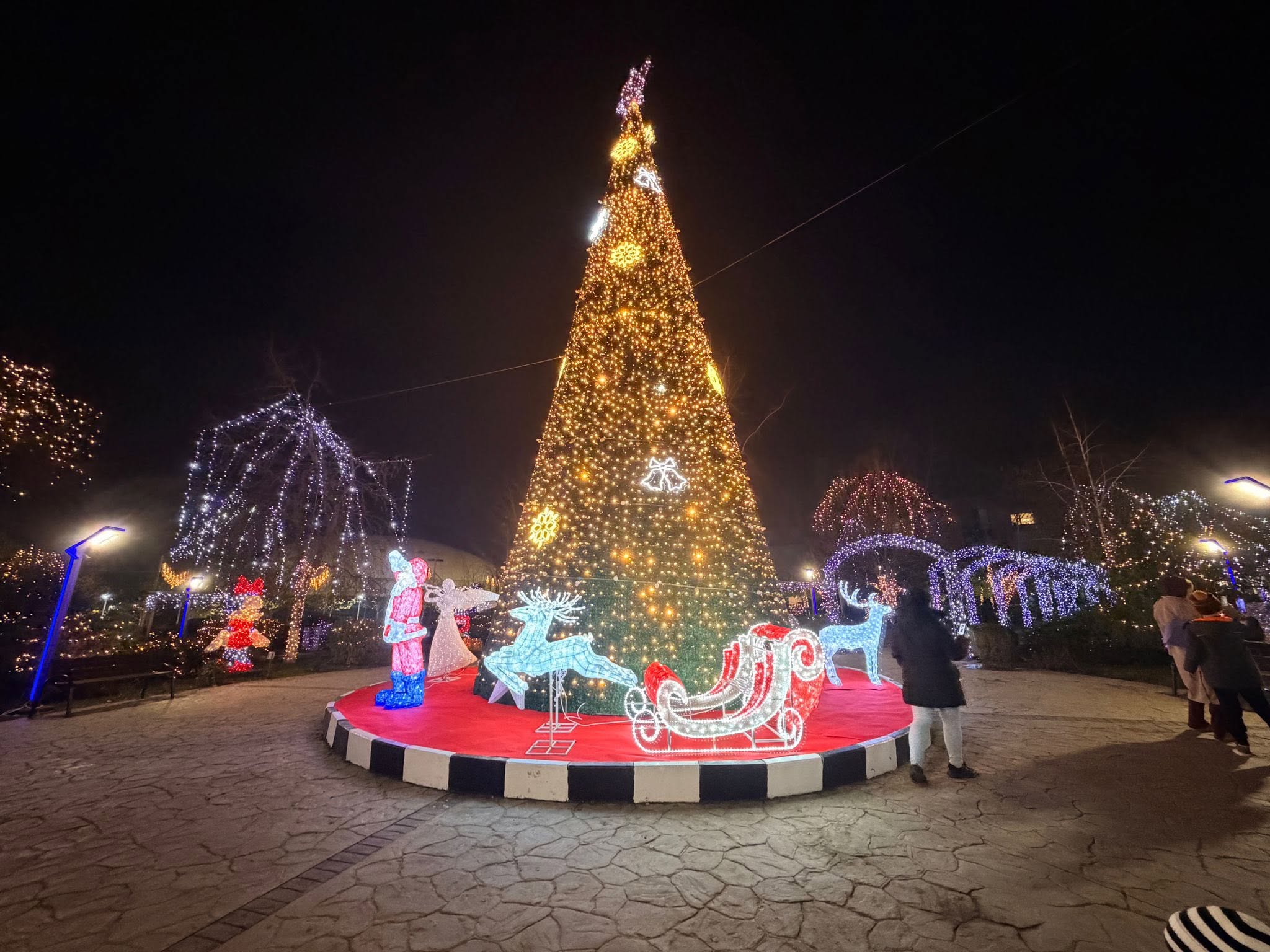 Afacerea luminița | Iluminatul festiv din Tunari costă din nou peste 53.000 de euro. Banii ajung la o firmă abonată la bugetul local al comunei
