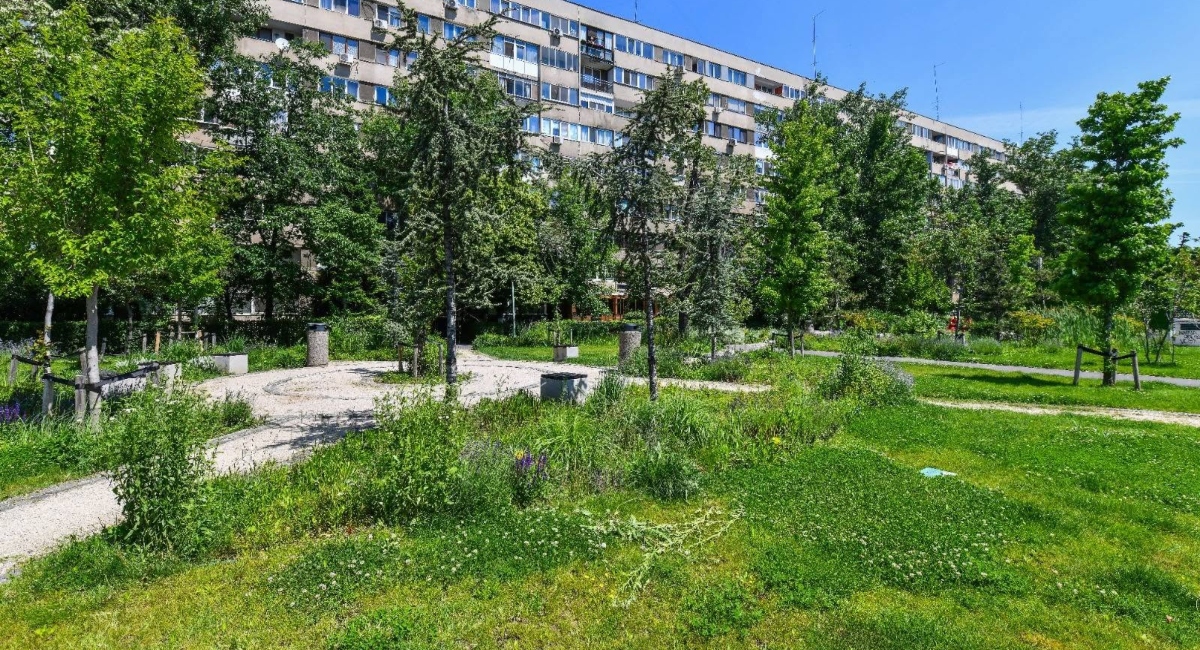 Chestionar pentru spațiile verzi din Sectorul 6. Locuitorii pot propune soluții pentru amenajare