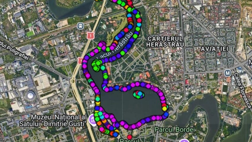Registrul Verde al Parcului Herăstrău este funcțional. Bucureștenii pot afla informații despre fiecare arbore evaluat. FOTO: Comunicat de presă