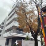 VIDEO | Incendiu în Sectorul 1, la mansarda unui bloc pe de Strada Gârlei. Se manifesta cu flacără deschisă