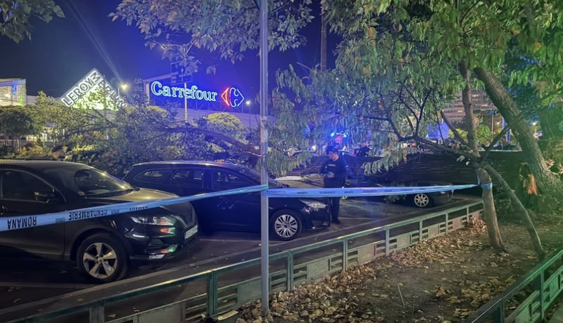Un copac a căzut peste patru autoturisme, în Sectorul 6, fără să fie furtună. Cum explică Primăria