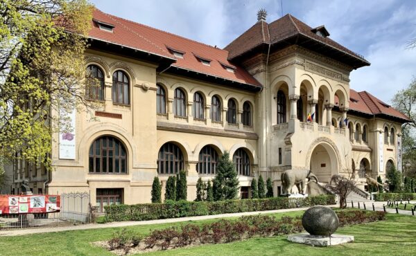 Copiii cu autism vor vizita mai ușor Muzeul Geologic Național din București.