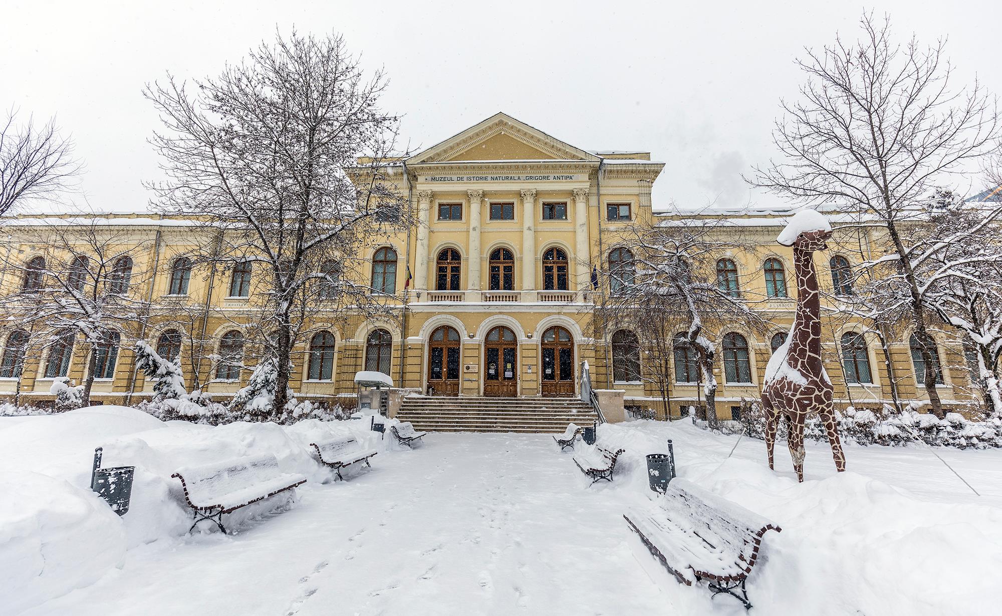 Muzeul Antipa, vizitat de mai bine de 500.000 de oameni, în 2023. Colecţii îmbogăţite şi rezultate în cercetarea ştiinţifică