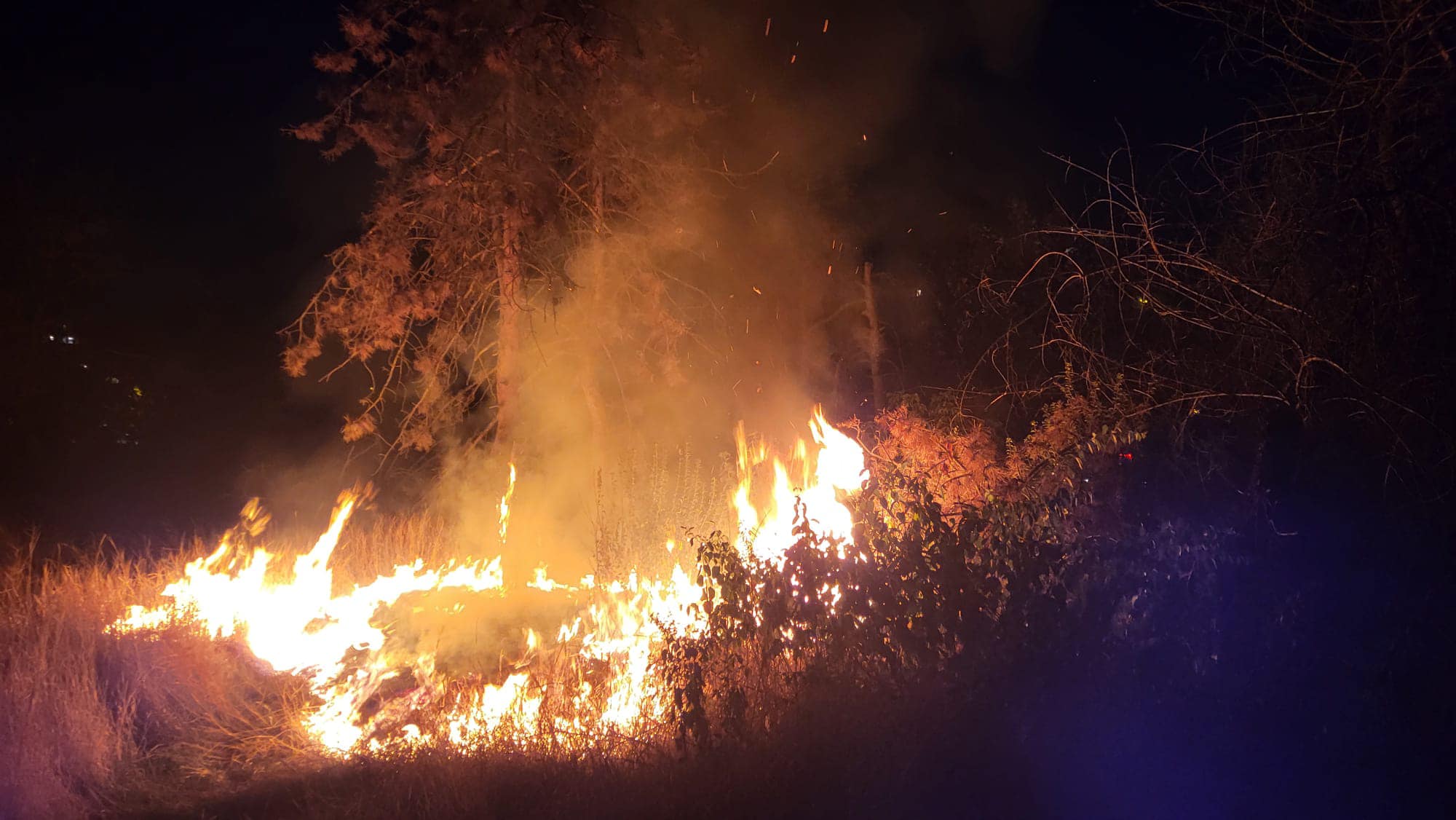 Incendiu nocturn, în zona retrocedată a Parcului IOR. ISU București-Ilfov: “Flăcările au pornit de la un foc deschis”