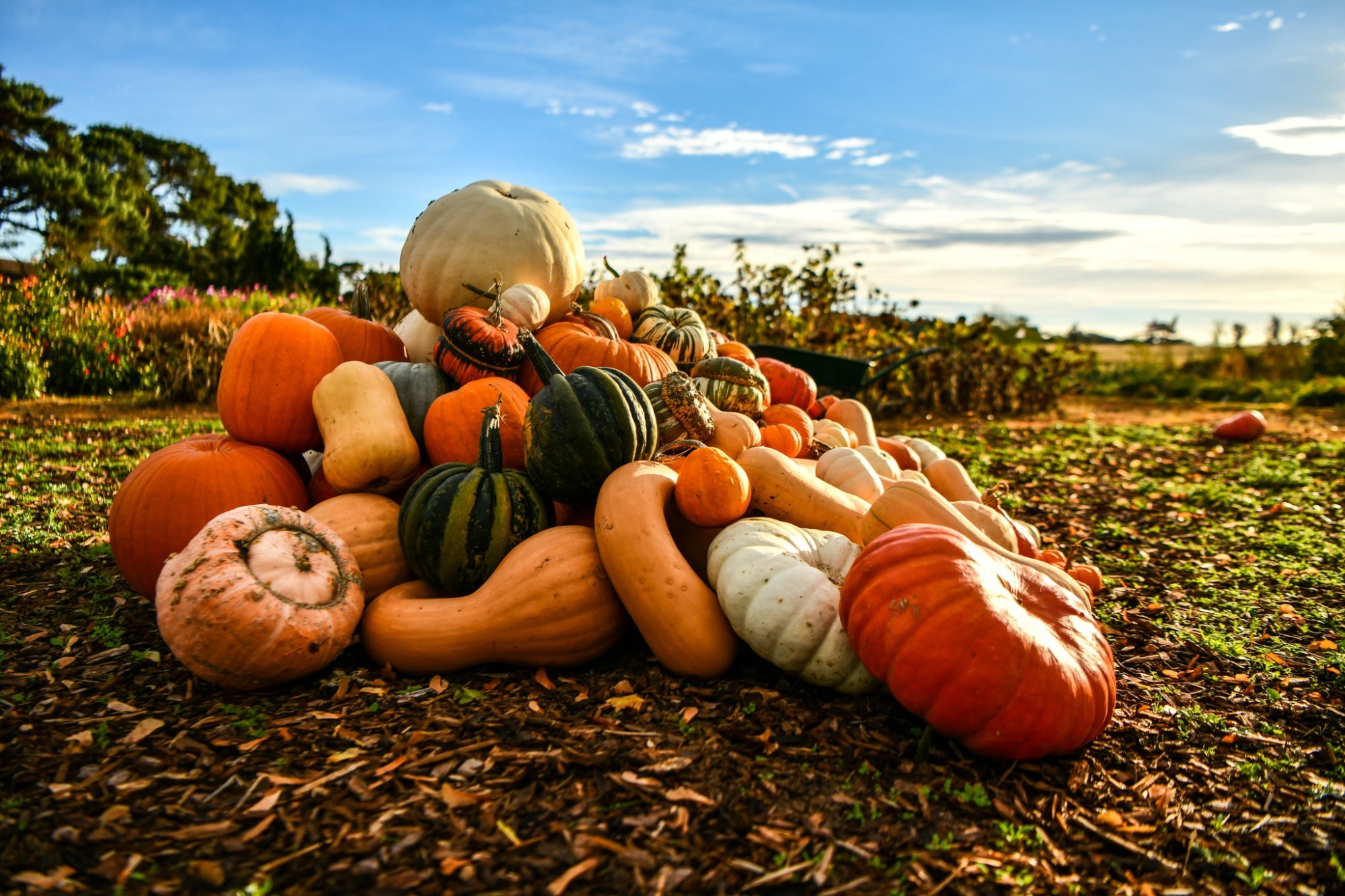 Ateliere de Halloween, la Muzeul Antipa