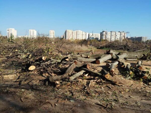 Scrisoare deschisă pentru Parcul IOR. Foto: FB/ Aici a fost o pădure/ aici ar putea fi o pădure