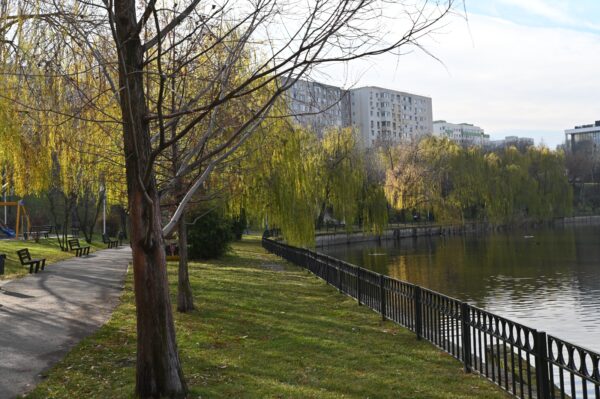 Proiect pentru plantarea a 40.000 arbori în sectorul cu cea mai redusă suprafață de spațiu verde pe cap de locuitor. Foto: FB/ PS2