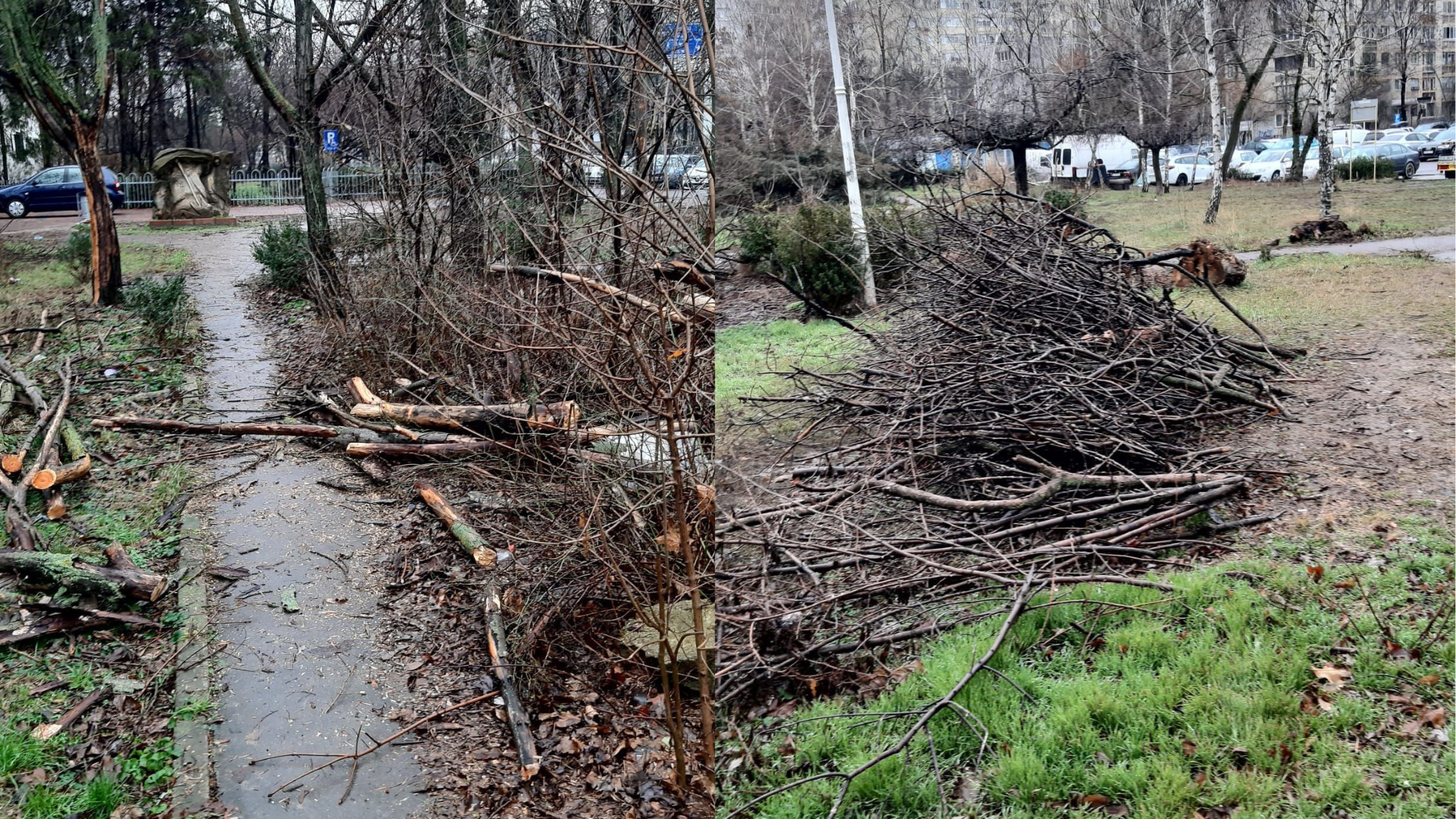 FOTO | Defrișări în Sectorul 3. Grupul civic „Aici a fost o pădure” acuză că oamenii care tăiau în IOR au început să taie şi în alt parc