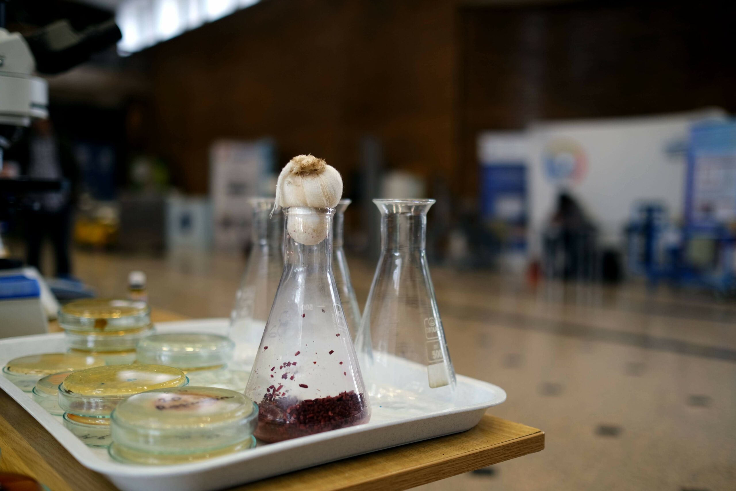 Mâncarea viitorului, „pusă pe tavă”, la BioFest, în curtea Politehnicii