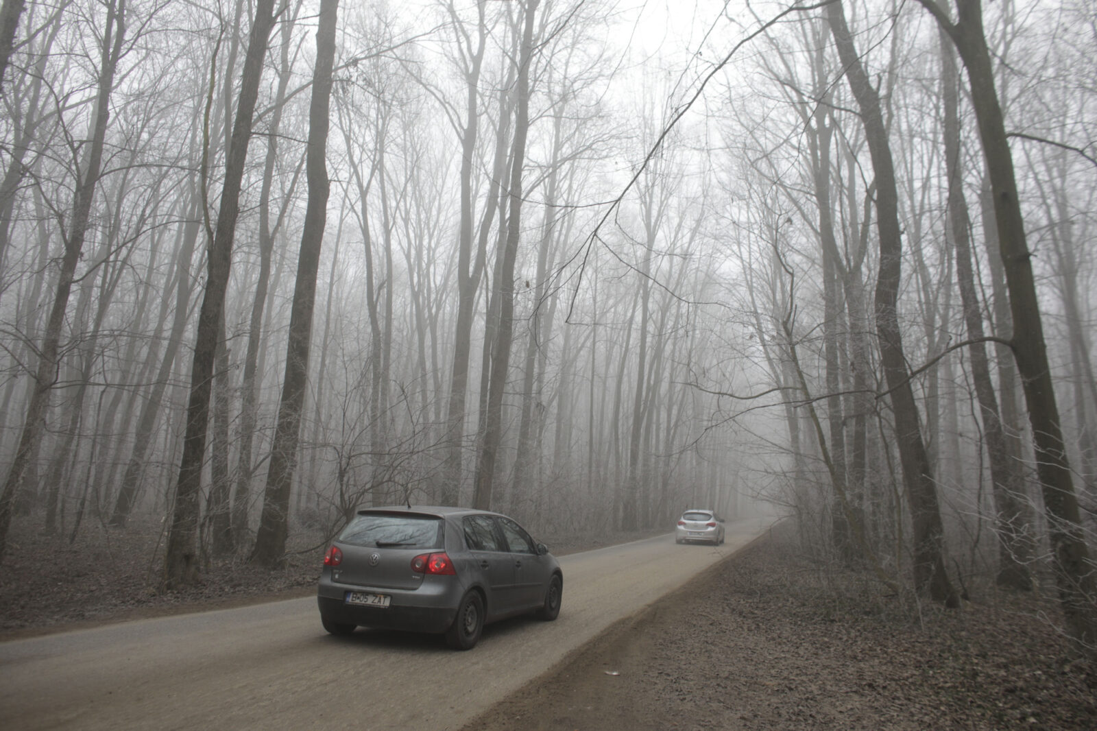 Pădurea Băneasa ar putea deveni parc.