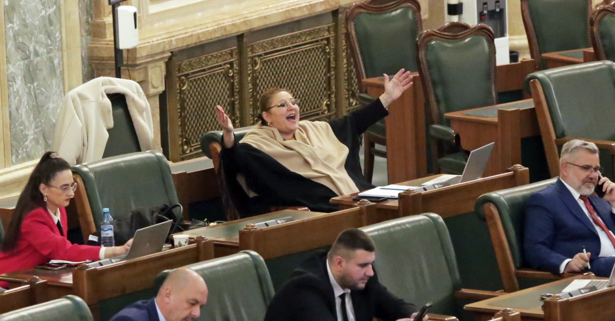 EDITORIAL | Decizia CCR nu este despre Diana Șoșoacă. Ea trebuia oprită