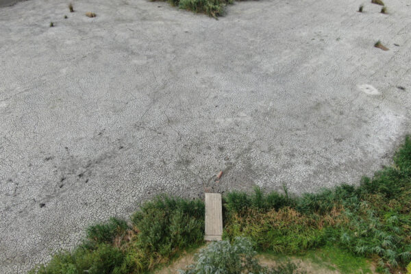 Delta Neajlovului a secat. Imagine aeriană în Comana, județul Giurgiu, 28 august 2024. Inquam Photos / George Călin