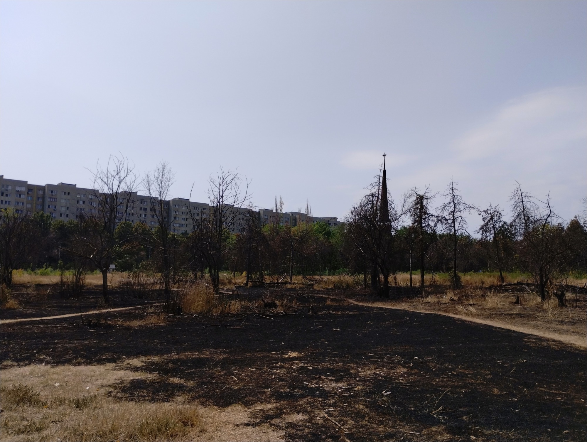 FOTO | Zona retrocedată a Parcului IOR, la o zi de la incendiu