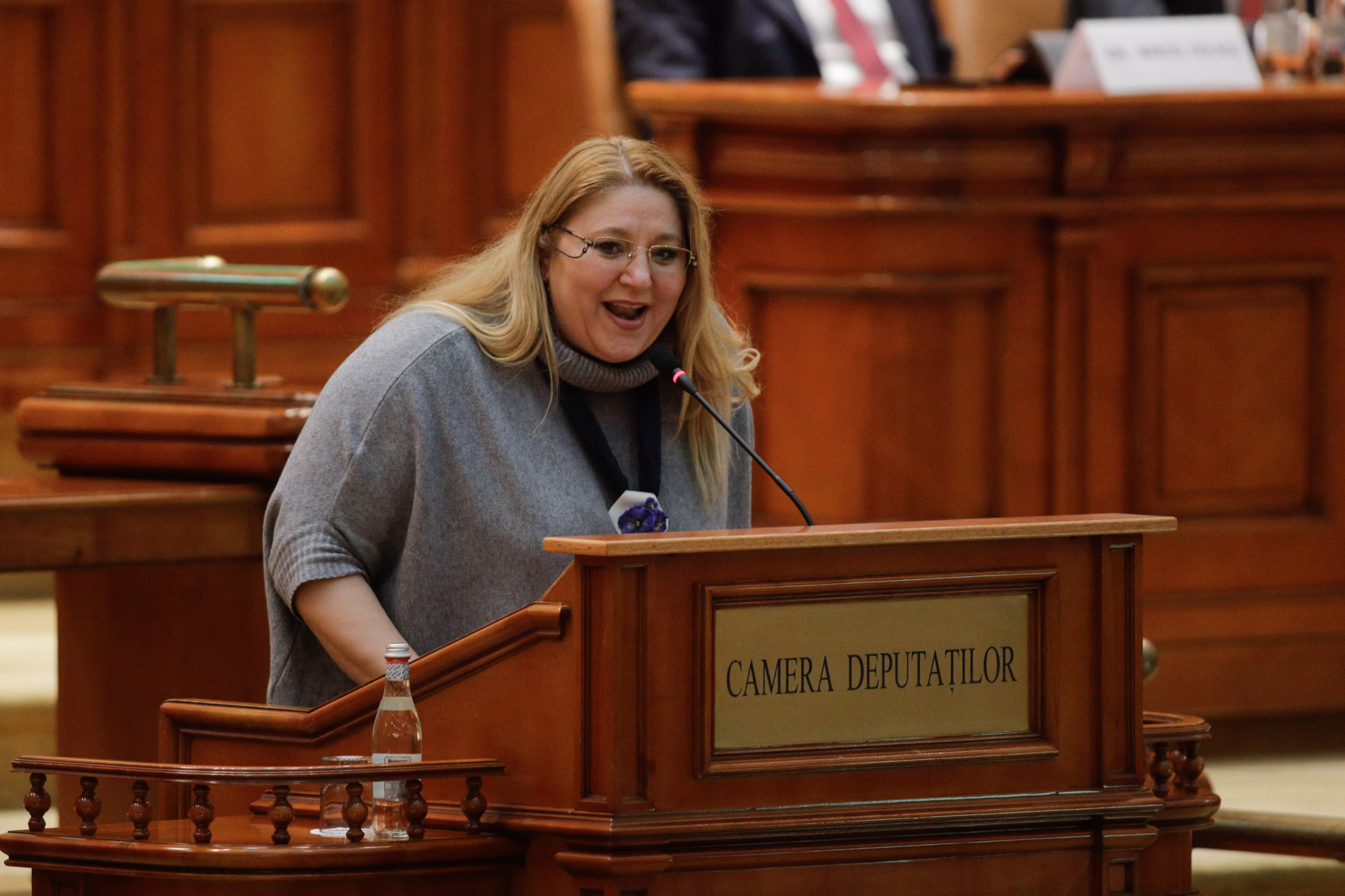 Parlamentare 2024 | Partidul SOS deschide lista cu D. Șoșoacă la Senat și D. Coarnă la deputați. Candidații pentru București și Ilfov