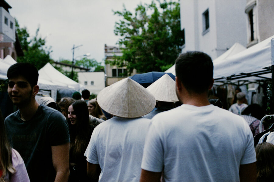 „Conurile ies la iveală: fenomenul care fascinează cercetătorii”