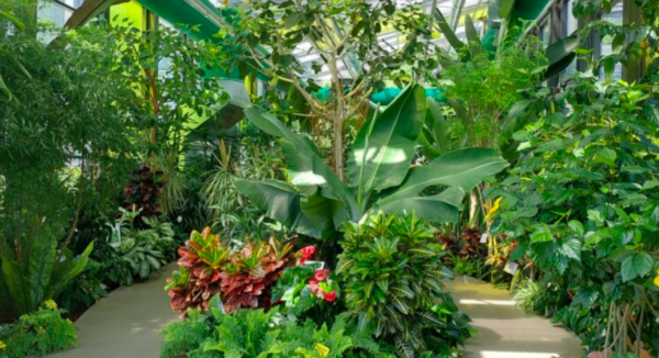 Serele exotice din Parcul Drumul Taberei trec la programul de iarnă. FOTO: Primaria Sector 6