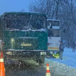 Mai multe tramvaie au deraiat în București. Foto: Info Trafic