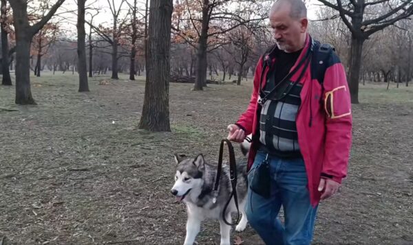 Ședință de dresaj gratuită pentru adoptatorii ASPA