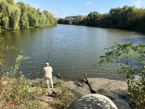 Valea Saulei: Cum arată „Dumbrava minunată" în care n-au ajuns dezvoltatorii imobiliari