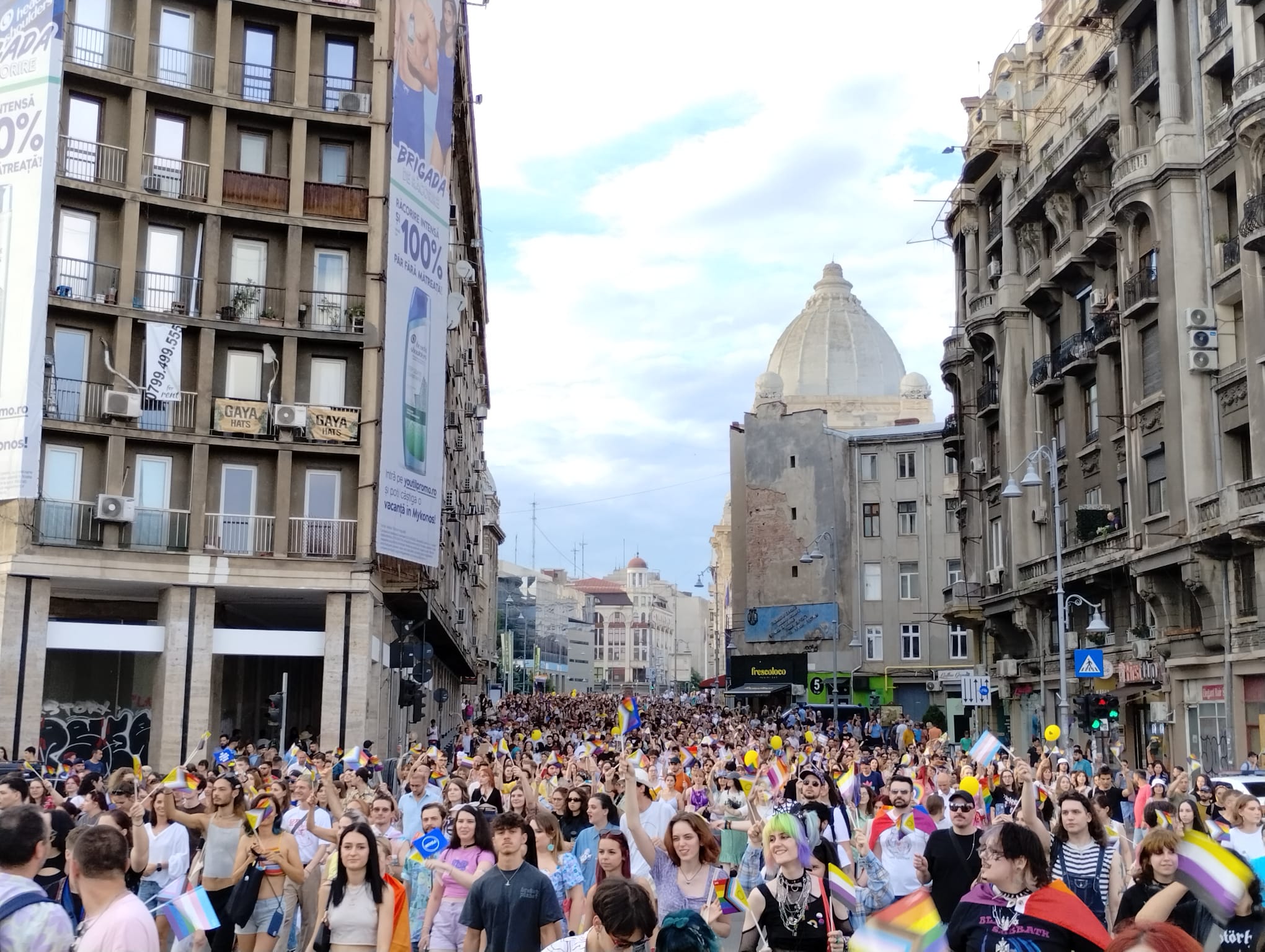 Programul „Străzi deschise”, extins pe Şoseaua Kiseleff și Calea Victoriei 