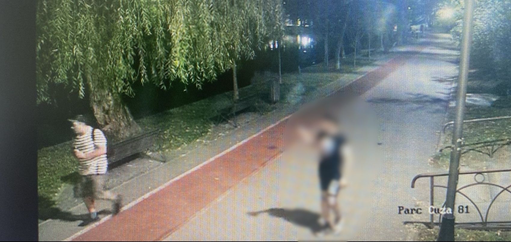 A dat foc în Parcul IOR, în zona retrocedată. A fost arestat preventiv